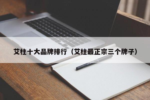 艾柱十大品牌排行（艾柱最正宗三个牌子）