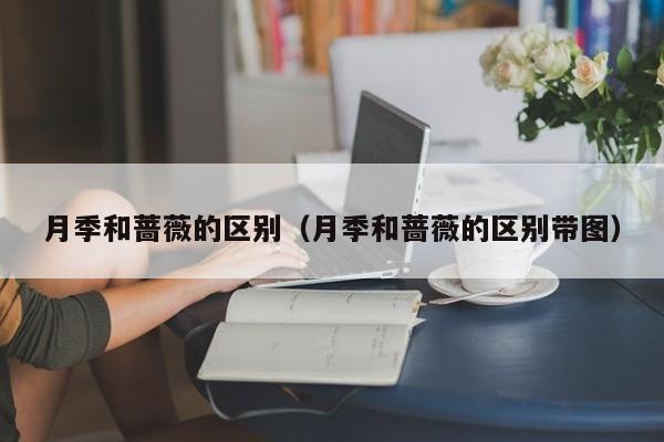 月季和蔷薇的区别（月季和蔷薇的区别带图）