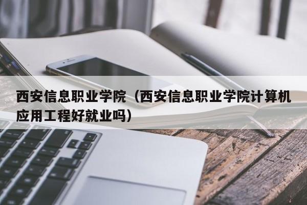 西安信息职业学院（西安信息职业学院计算机应用工程好就业吗）