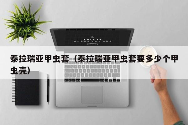 泰拉瑞亚甲虫套（泰拉瑞亚甲虫套要多少个甲虫壳）