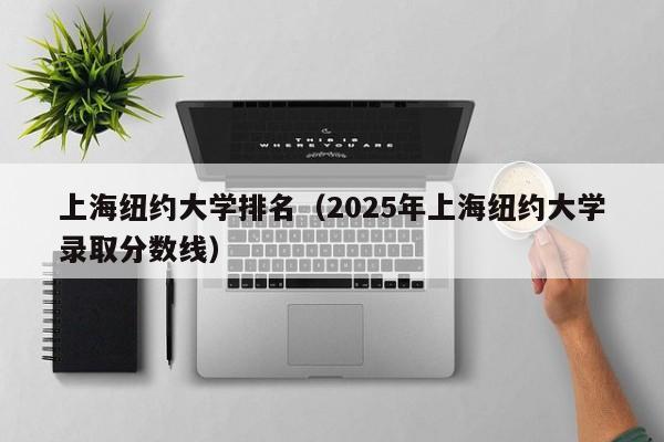 上海纽约大学排名（2025年上海纽约大学录取分数线）