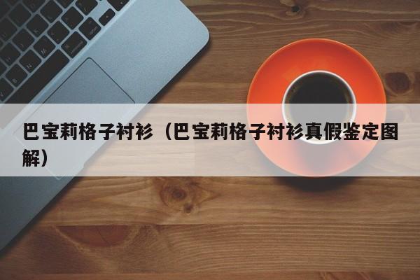 巴宝莉格子衬衫（巴宝莉格子衬衫真假鉴定图解）