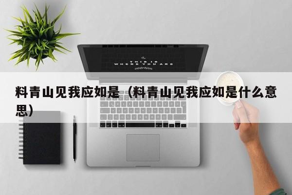料青山见我应如是（料青山见我应如是什么意思）
