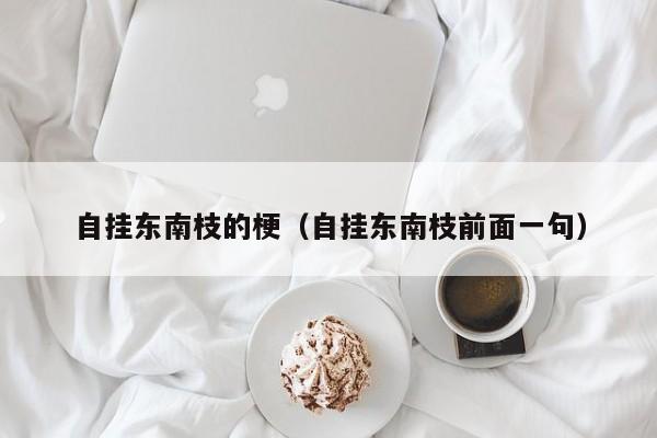 自挂东南枝的梗（自挂东南枝前面一句）