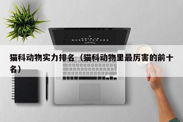 猫科动物实力排名（猫科动物里最厉害的前十名）