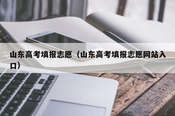 山东高考填报志愿（山东高考填报志愿网站入口）